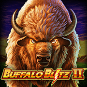 Wild Bull Battle 2